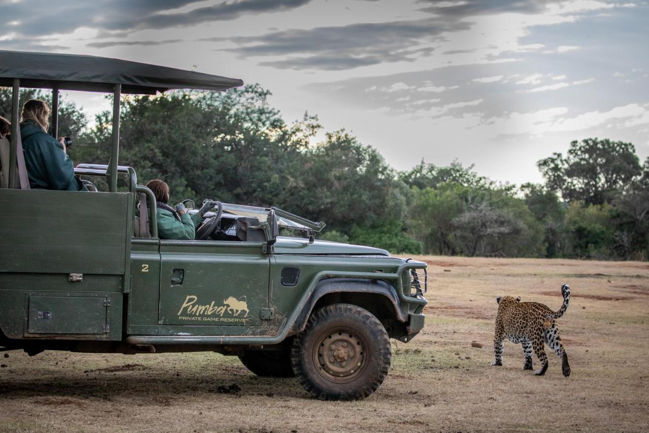 Pumba Private Game Reserve Grahamstown Buitenkant foto