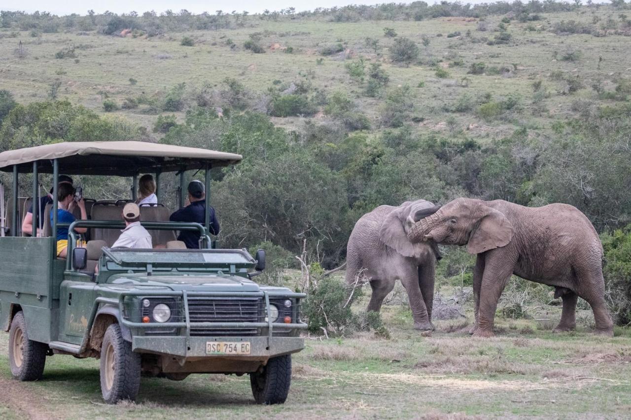 Pumba Private Game Reserve Grahamstown Buitenkant foto