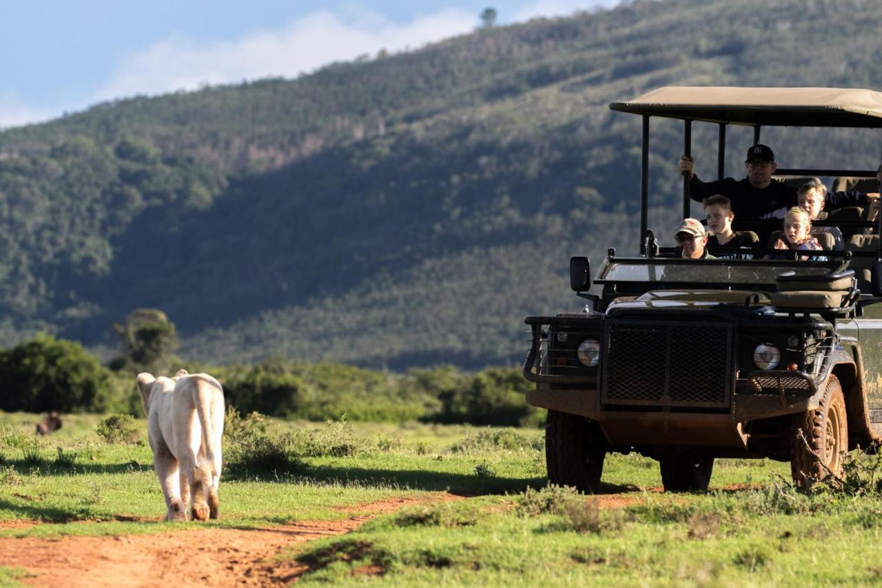 Pumba Private Game Reserve Grahamstown Buitenkant foto