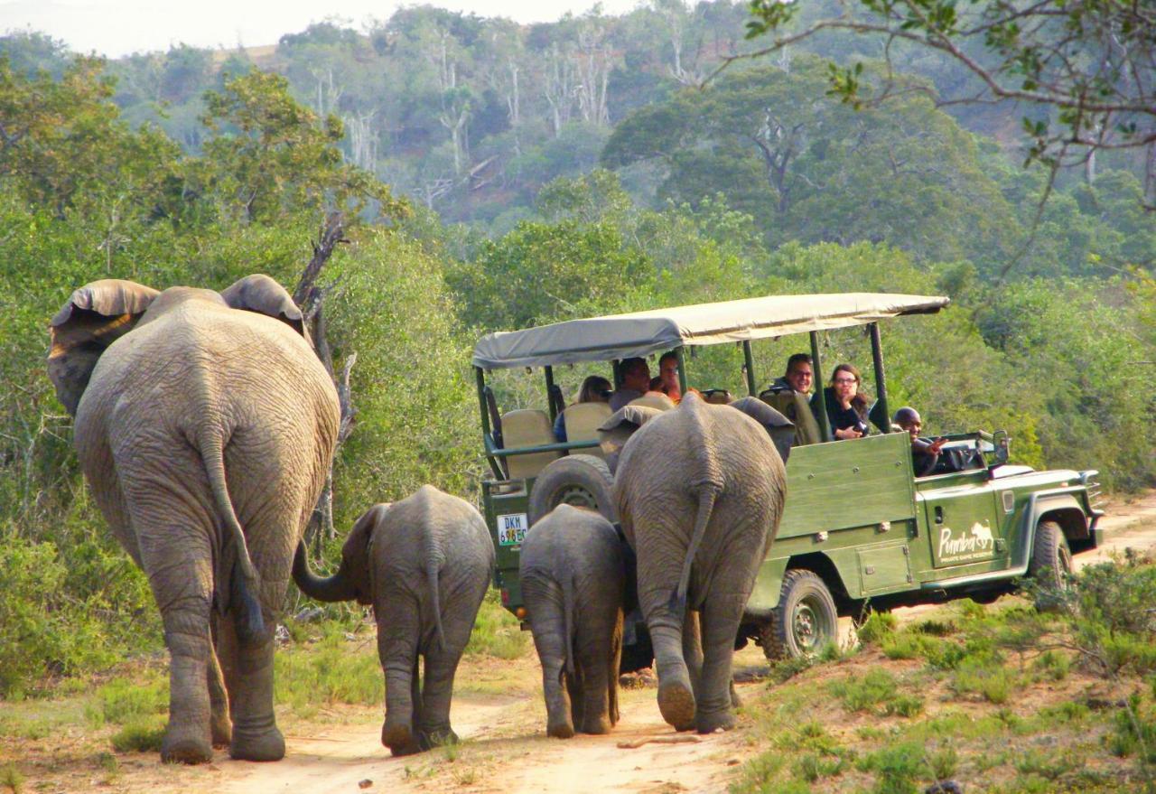Pumba Private Game Reserve Grahamstown Buitenkant foto