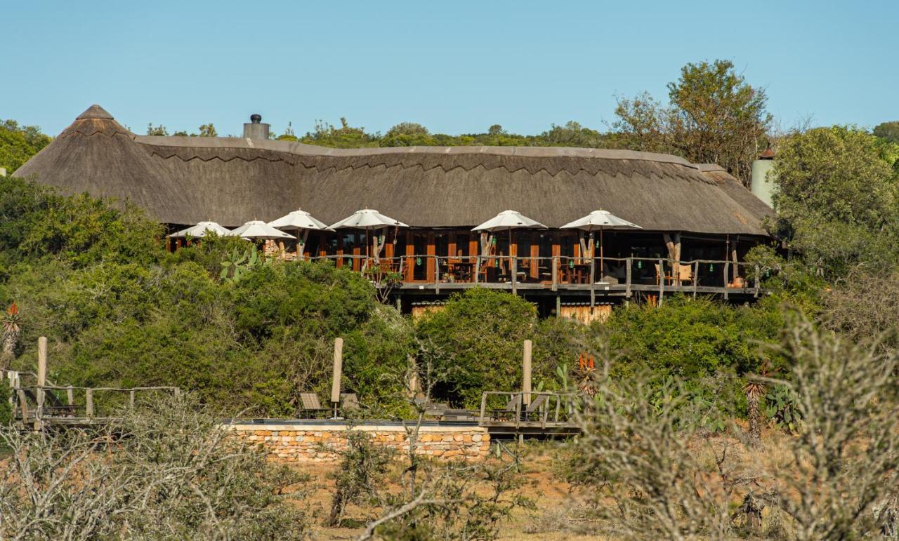 Pumba Private Game Reserve Grahamstown Buitenkant foto
