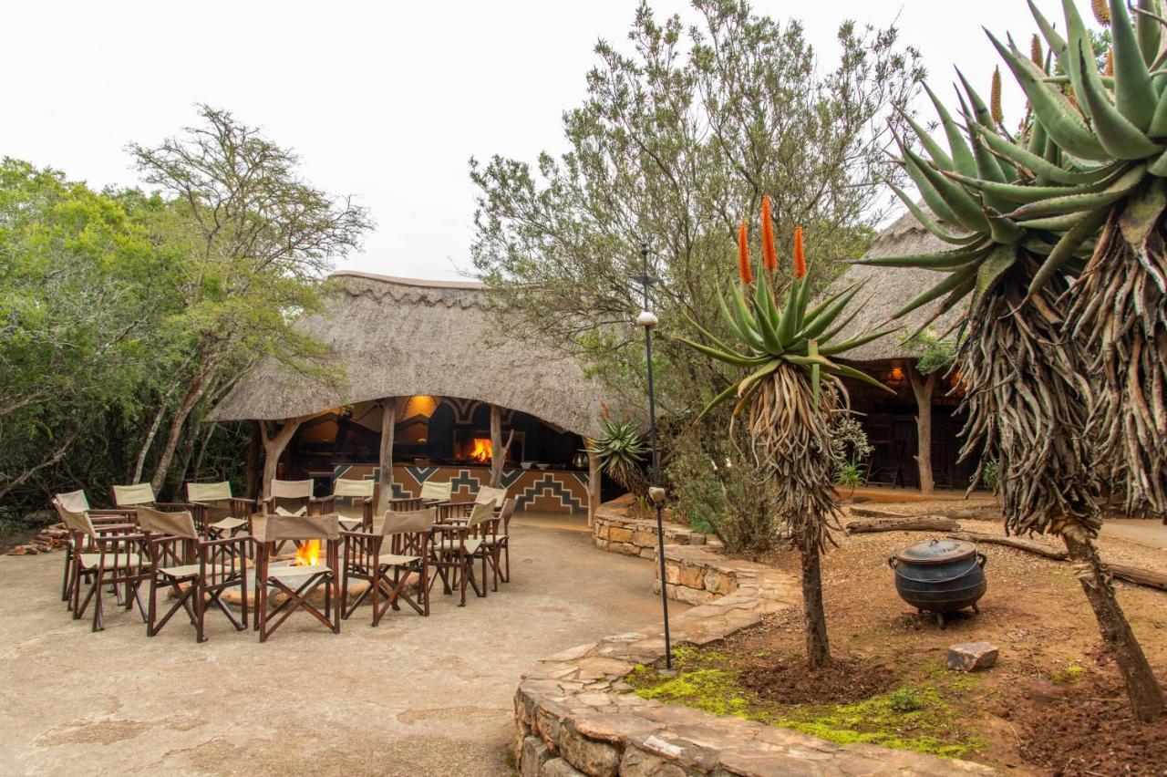 Pumba Private Game Reserve Grahamstown Buitenkant foto