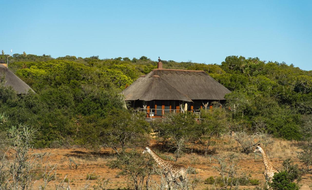 Pumba Private Game Reserve Grahamstown Buitenkant foto