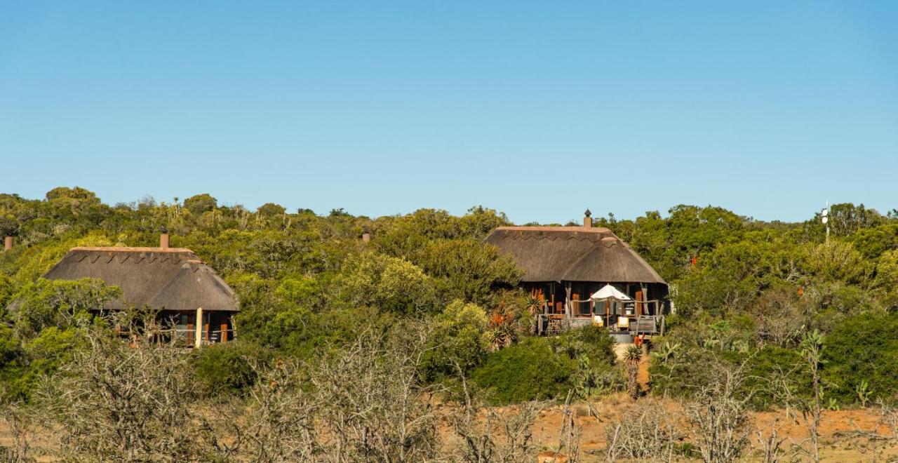Pumba Private Game Reserve Grahamstown Buitenkant foto